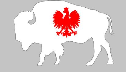 Polish Buffalo DTF Transfer