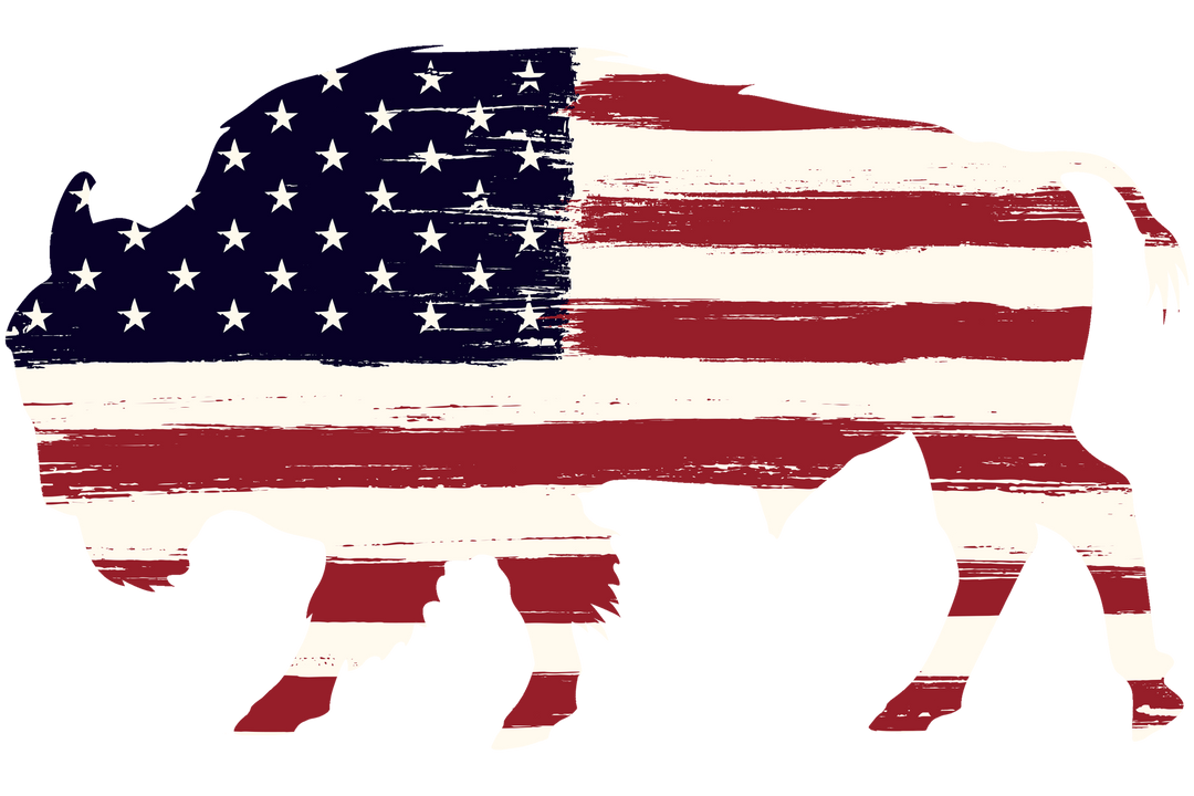 Buffalo Flag DTF Transfer