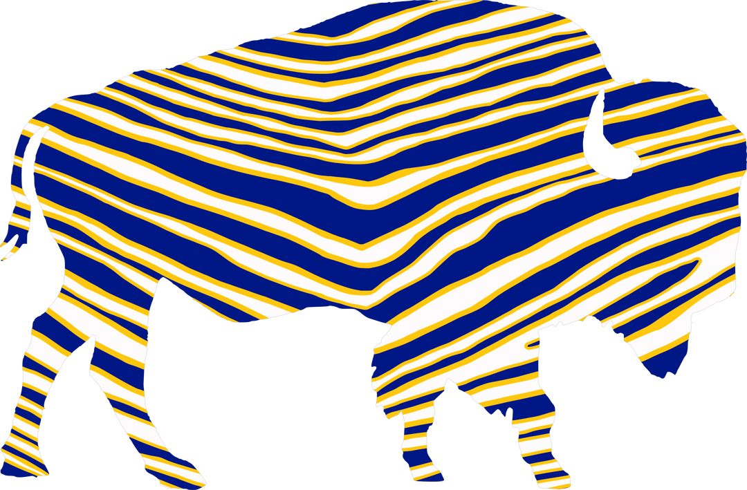 Hockey Zebra Print DTF Transfer