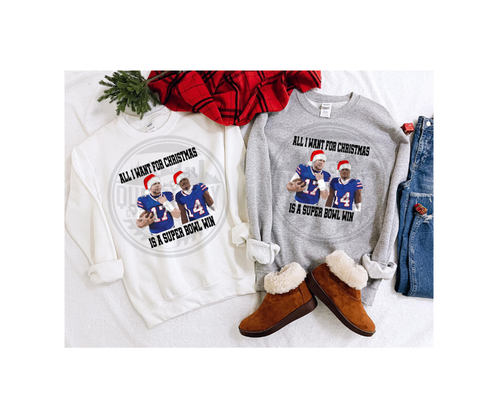 All I Want For Christmas Is A Super Bowl Win Tshirt/Sweatshirt